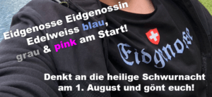 T-Shirt Eidgenosse Eidgenossin Edelweiss blau, grau & pink am Start!