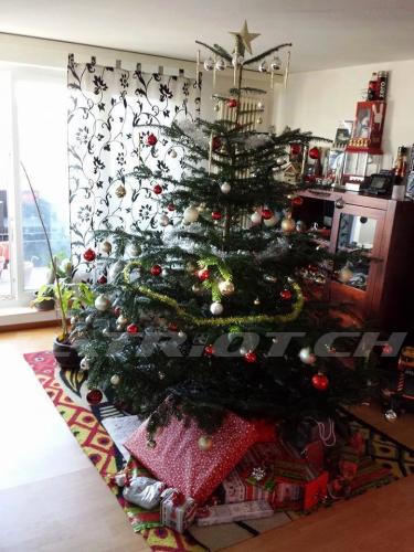 #weihnachten #wiehnacht #wiehnachte #wiehnachtsbaum #weihnachtsbaum #christbaum #tannenbaum #jesus